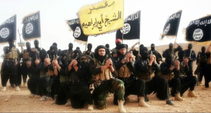 Combatentes do Estado Islâmico fugiram para a Turquia – organização síria