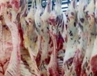 carne bovina suplanta frango nas exportações