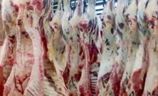 carne bovina suplanta frango nas exportações