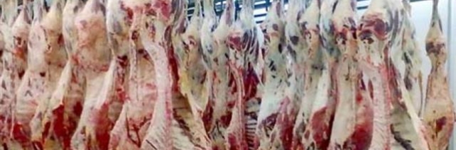 Com alta de 26,45% na receita cambial no bimestre, carne bovina suplanta frango nas vendas ao exterior