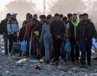 Turquia retém refugiados sírios bem qualificados
