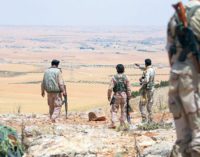 Turquia irá enviar tropas para dentro da região síria de Idlib, diz Erdogan