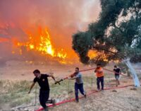 [Opinião] Controvérsias e críticas crescem conforme incêndios florestais devastam a Turquia