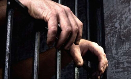 Comitê de tortura do CdE exige limitação do número de detentos e promoção de medidas não privativas de liberdade