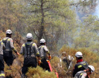 Incêndio florestal no sudoeste da Turquia entra no terceiro dia 