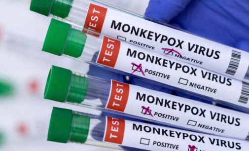 Turquia relata primeiro caso de varíola do macaco 
