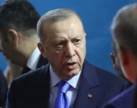 Erdogan da Turquia adverte sobre ‘nova fase’ para estender o controle de Ancara com nova ofensiva