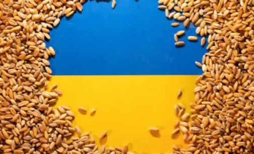 Rússia entregou grãos ucranianos roubados de Berdyansk à Turquia 