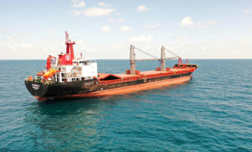 Mais dois navios com grãos partem da Ucrânia, diz o Ministério da Defesa da Turquia 